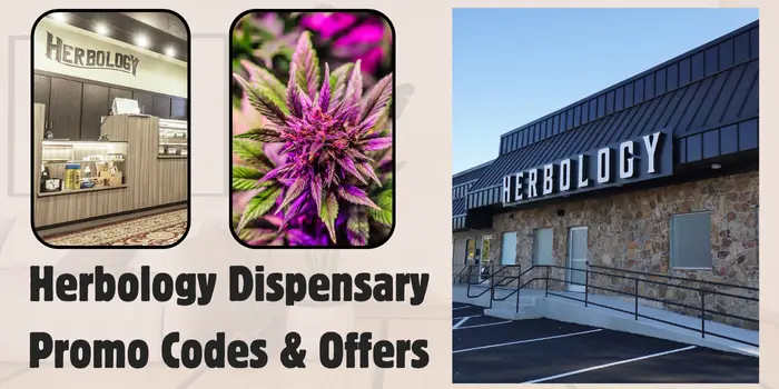 Herbology Dispensary Promo Codes & Offers
