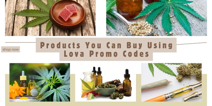 Products You Can Buy Using Lova Promo Codes