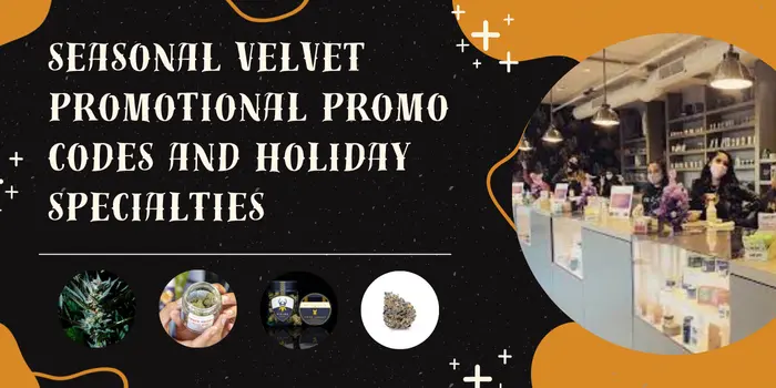seasonal velvet promotional promo codes and holiday specialties
